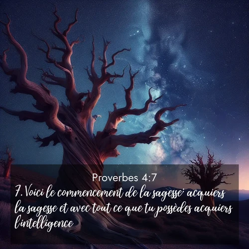 Segond21 Proverbes  ; image nature: image avec le verset biblique :Voici le commencement de la sagesse: acquiers la sagesse et avec tout ce que tu possèdes acquiers l&#039;intelligence. ;  ; 4:7