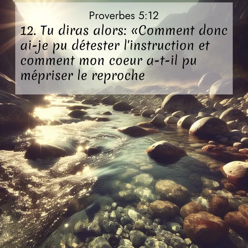Segond21 Proverbes  ; image nature: image avec le verset biblique :Tu diras alors: «Comment donc ai-je pu détester l&#039;instruction et comment mon coeur a-t-il pu mépriser le reproche? ;  ; 5:12