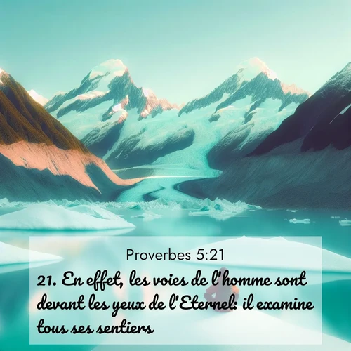 Segond21 Proverbes  ; image nature: image avec le verset biblique :En effet, les voies de l&#039;homme sont devant les yeux de l&#039;Eternel: il examine tous ses sentiers. ;  ; 5:21