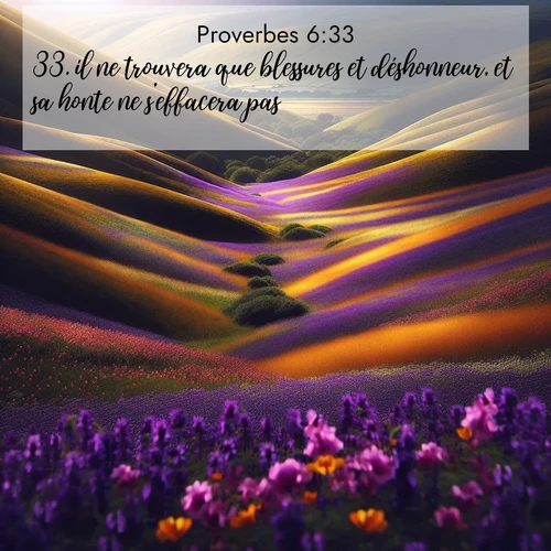 Segond21 Proverbes  ; image nature: image avec le verset biblique :il ne trouvera que blessures et déshonneur, et sa honte ne s&#039;effacera pas. ;  ; 6:33