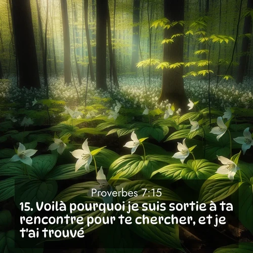Segond21 Proverbes  ; image nature: image avec le verset biblique :Voilà pourquoi je suis sortie à ta rencontre pour te chercher, et je t&#039;ai trouvé. ;  ; 7:15
