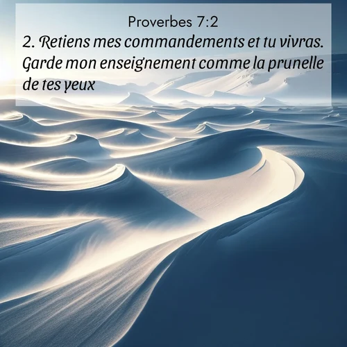 Segond21 Proverbes  ; image nature: image avec le verset biblique :Retiens mes commandements et tu vivras. Garde mon enseignement comme la prunelle de tes yeux! ;  ; 7:2
