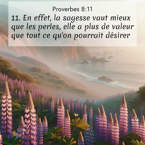 Segond21 Proverbes  ; image nature: image avec le verset biblique :En effet, la sagesse vaut mieux que les perles, elle a plus de valeur que tout ce qu&#039;on pourrait désirer. ;  ; 8:11