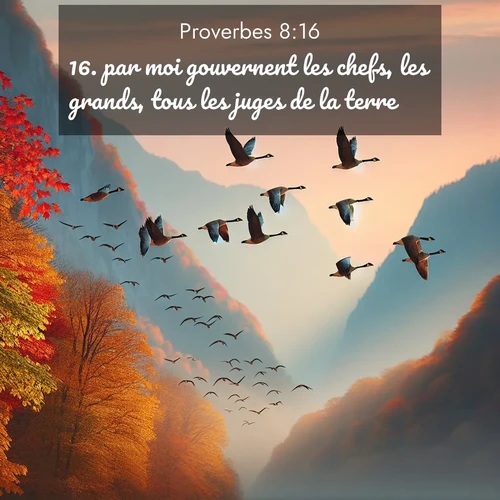 Segond21 Proverbes  ; image nature: image avec le verset biblique :par moi gouvernent les chefs, les grands, tous les juges de la terre. ;  ; 8:16