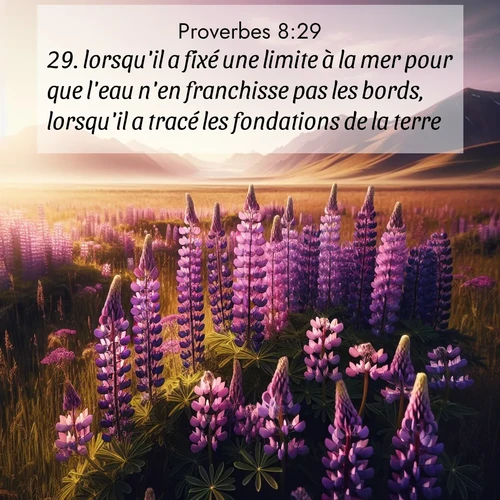 Segond21 Proverbes  ; image nature: image avec le verset biblique :lorsqu&#039;il a fixé une limite à la mer pour que l&#039;eau n&#039;en franchisse pas les bords, lorsqu&#039;il a tracé les fondations de la terre, ;  ; 8:29