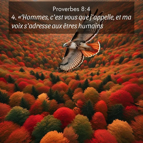 Segond21 Proverbes  ; image nature: image avec le verset biblique :«Hommes, c&#039;est vous que j&#039;appelle, et ma voix s&#039;adresse aux êtres humains. ;  ; 8:4