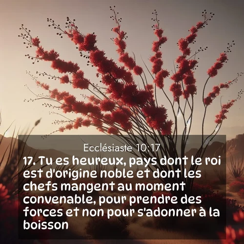 image nature avec verset biblique de la Bible