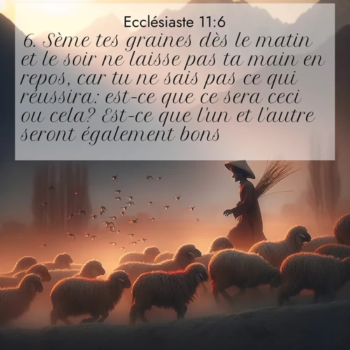 Segond21 Ecclésiaste  ; image nature: image avec le verset biblique :Sème tes graines dès le matin et le soir ne laisse pas ta main en repos, car tu ne sais pas ce qui réussira: est-ce que ce sera ceci ou cela? Est-ce que l&#039;un et l&#039;autre seront également bons? ;  ; 11:6