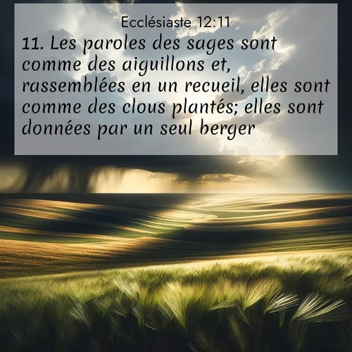 Segond21 Ecclésiaste  ; image nature: image avec le verset biblique :Les paroles des sages sont comme des aiguillons et, rassemblées en un recueil, elles sont comme des clous plantés; elles sont données par un seul berger. ;  ; 12:11