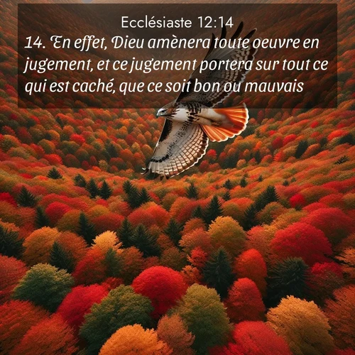Segond21 Ecclésiaste  ; image nature: image avec le verset biblique :En effet, Dieu amènera toute oeuvre en jugement, et ce jugement portera sur tout ce qui est caché, que ce soit bon ou mauvais.» ;  ; 12:14