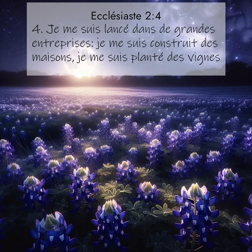 Segond21 Ecclésiaste  ; image nature: image avec le verset biblique :Je me suis lancé dans de grandes entreprises: je me suis construit des maisons, je me suis planté des vignes, ;  ; 2:4