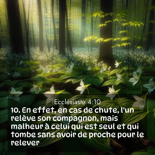 Segond21 Ecclésiaste  ; image nature: image avec le verset biblique :En effet, en cas de chute, l&#039;un relève son compagnon, mais malheur à celui qui est seul et qui tombe sans avoir de proche pour le relever! ;  ; 4:10