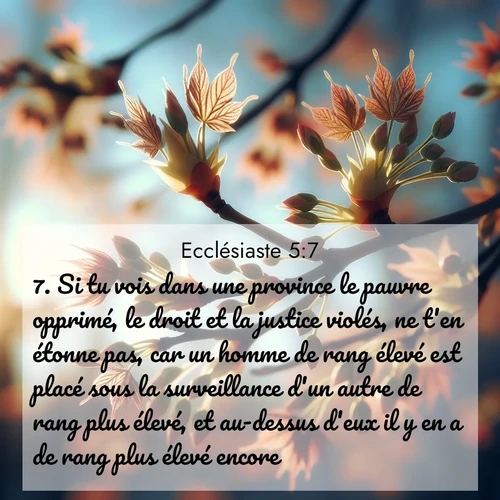 Segond21 Ecclésiaste  ; image nature: image avec le verset biblique :Si tu vois dans une province le pauvre opprimé, le droit et la justice violés, ne t&#039;en étonne pas, car un homme de rang élevé est placé sous la surveillance d&#039;un autre de rang plus élevé, et au-dessus d&#039;eux il y en a de rang plus élevé encore. ;  ; 5:7