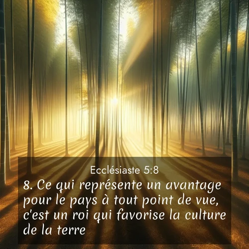 Segond21 Ecclésiaste  ; image nature: image avec le verset biblique :Ce qui représente un avantage pour le pays à tout point de vue, c&#039;est un roi qui favorise la culture de la terre. ;  ; 5:8