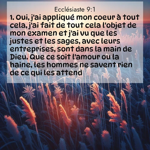 image nature avec verset biblique de la Bible