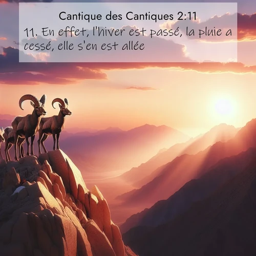 Segond21 Cantique des Cantiques  ; image nature: image avec le verset biblique :En effet, l&#039;hiver est passé, la pluie a cessé, elle s&#039;en est allée. ;  ; 2:11