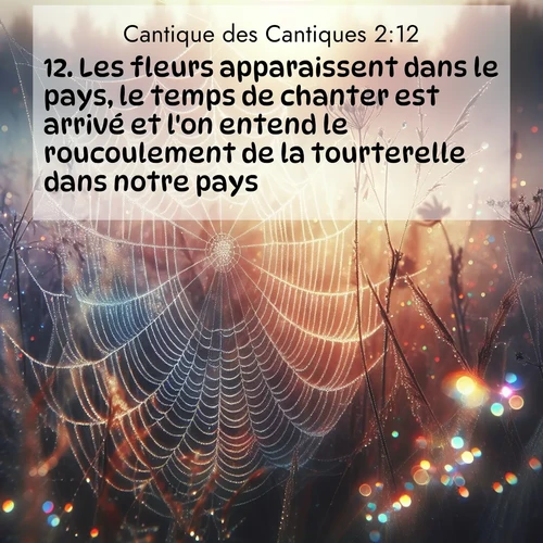 Segond21 Cantique des Cantiques  ; image nature: image avec le verset biblique :Les fleurs apparaissent dans le pays, le temps de chanter est arrivé et l&#039;on entend le roucoulement de la tourterelle dans notre pays. ;  ; 2:12