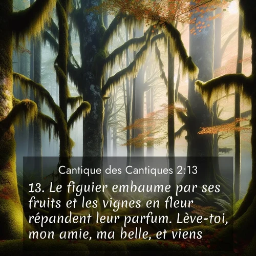 Segond21 Cantique des Cantiques  ; image nature: image avec le verset biblique :Le figuier embaume par ses fruits et les vignes en fleur répandent leur parfum. Lève-toi, mon amie, ma belle, et viens! ;  ; 2:13