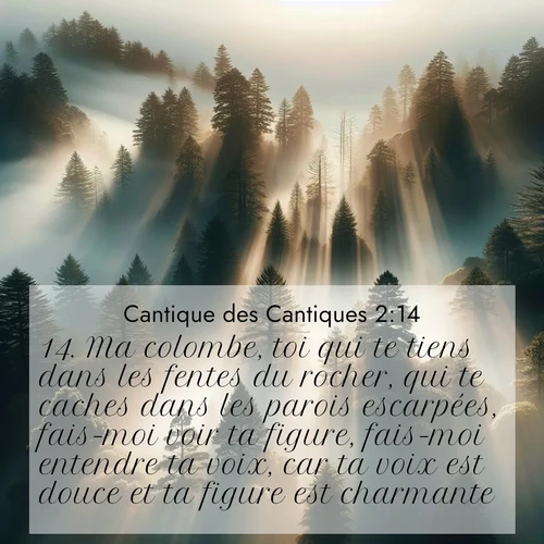 Segond21 Cantique des Cantiques  ; image nature: image avec le verset biblique :Ma colombe, toi qui te tiens dans les fentes du rocher, qui te caches dans les parois escarpées, fais-moi voir ta figure, fais-moi entendre ta voix, car ta voix est douce et ta figure est charmante!» ;  ; 2:14