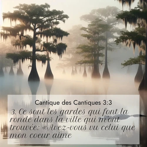 Segond21 Cantique des Cantiques  ; image nature: image avec le verset biblique :Ce sont les gardes qui font la ronde dans la ville qui m&#039;ont trouvée: «Avez-vous vu celui que mon coeur aime?» ;  ; 3:3