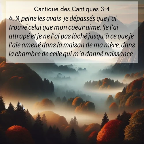 Segond21 Cantique des Cantiques  ; image nature: image avec le verset biblique :A peine les avais-je dépassés que j&#039;ai trouvé celui que mon coeur aime. Je l&#039;ai attrapé et je ne l&#039;ai pas lâché jusqu&#039;à ce que je l&#039;aie amené dans la maison de ma mère, dans la chambre de celle qui m&#039;a donné naissance. ;  ; 3:4