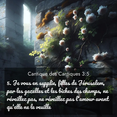 Segond21 Cantique des Cantiques  ; image nature: image avec le verset biblique :Je vous en supplie, filles de Jérusalem, par les gazelles et les biches des champs, ne réveillez pas, ne réveillez pas l&#039;amour avant qu&#039;elle ne le veuille! ;  ; 3:5