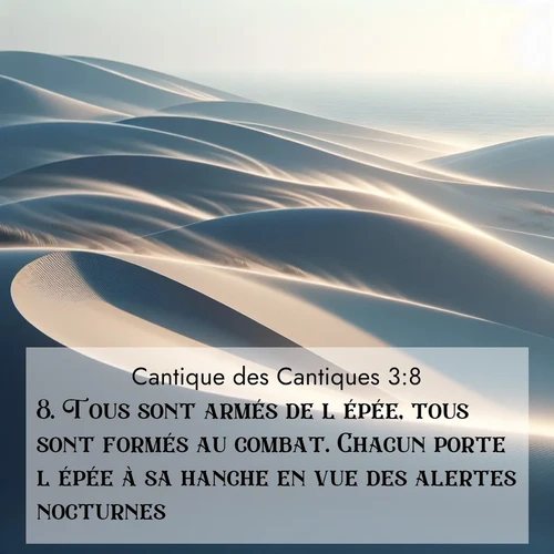 Segond21 Cantique des Cantiques  ; image nature: image avec le verset biblique :Tous sont armés de l&#039;épée, tous sont formés au combat. Chacun porte l&#039;épée à sa hanche en vue des alertes nocturnes. ;  ; 3:8