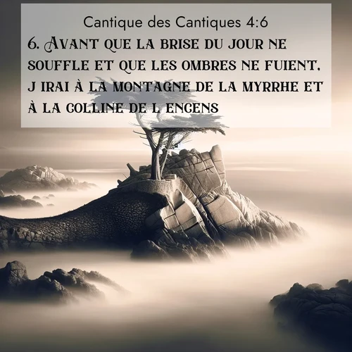Segond21 Cantique des Cantiques  ; image nature: image avec le verset biblique :Avant que la brise du jour ne souffle et que les ombres ne fuient, j&#039;irai à la montagne de la myrrhe et à la colline de l&#039;encens. ;  ; 4:6