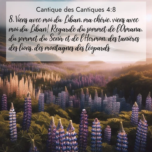 Segond21 Cantique des Cantiques  ; image nature: image avec le verset biblique :Viens avec moi du Liban, ma chérie, viens avec moi du Liban! Regarde du sommet de l&#039;Amana, du sommet du Senir et de l&#039;Hermon, des tanières des lions, des montagnes des léopards! ;  ; 4:8