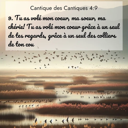 Segond21 Cantique des Cantiques  ; image nature: image avec le verset biblique :Tu as volé mon coeur, ma soeur, ma chérie! Tu as volé mon coeur grâce à un seul de tes regards, grâce à un seul des colliers de ton cou. ;  ; 4:9