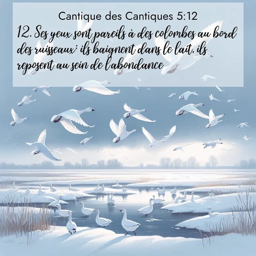 image nature avec verset biblique de la Bible