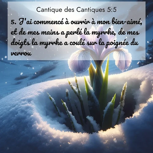 image nature avec verset biblique de la Bible