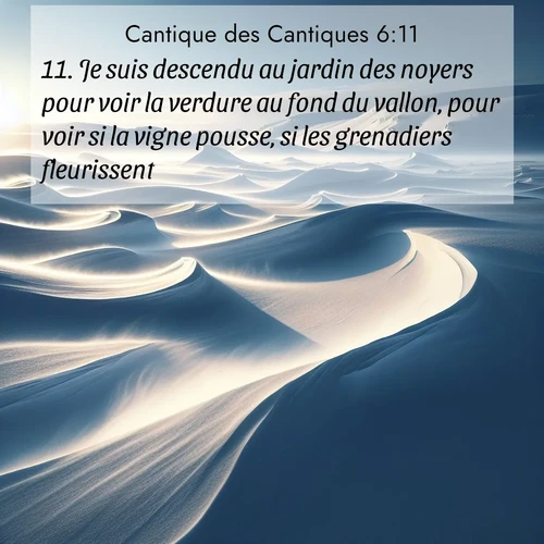 Segond21 Cantique des Cantiques  ; image nature: image avec le verset biblique :Je suis descendu au jardin des noyers pour voir la verdure au fond du vallon, pour voir si la vigne pousse, si les grenadiers fleurissent. ;  ; 6:11