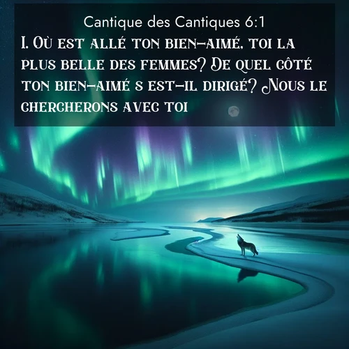 Segond21 Cantique des Cantiques  ; image nature: image avec le verset biblique :Où est allé ton bien-aimé, toi la plus belle des femmes? De quel côté ton bien-aimé s&#039;est-il dirigé? Nous le chercherons avec toi. ;  ; 6:1