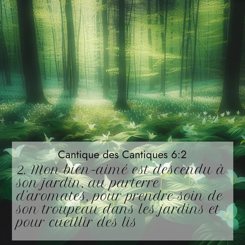 Segond21 Cantique des Cantiques  ; image nature: image avec le verset biblique :Mon bien-aimé est descendu à son jardin, au parterre d&#039;aromates, pour prendre soin de son troupeau dans les jardins et pour cueillir des lis. ;  ; 6:2