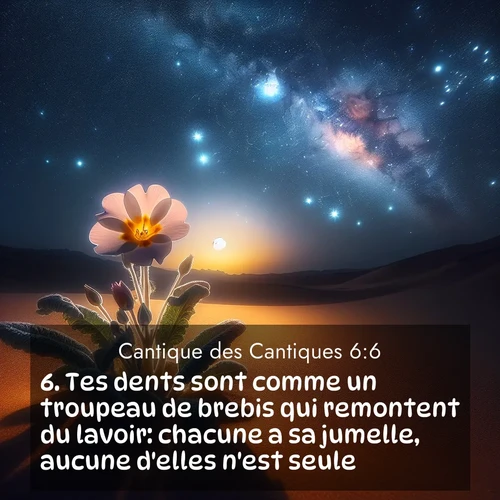 Segond21 Cantique des Cantiques  ; image nature: image avec le verset biblique :Tes dents sont comme un troupeau de brebis qui remontent du lavoir: chacune a sa jumelle, aucune d&#039;elles n&#039;est seule. ;  ; 6:6