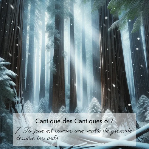 Segond21 Cantique des Cantiques  ; image nature: image avec le verset biblique :Ta joue est comme une moitié de grenade derrière ton voile. ;  ; 6:7