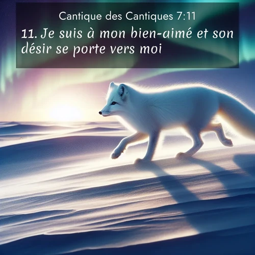 Segond21 Cantique des Cantiques  ; image nature: image avec le verset biblique :Je suis à mon bien-aimé et son désir se porte vers moi. ;  ; 7:11