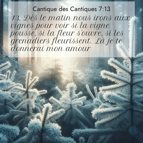 Segond21 Cantique des Cantiques  ; image nature: image avec le verset biblique :Dès le matin nous irons aux vignes pour voir si la vigne pousse, si la fleur s&#039;ouvre, si les grenadiers fleurissent. Là je te donnerai mon amour. ;  ; 7:13