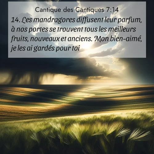 Segond21 Cantique des Cantiques  ; image nature: image avec le verset biblique :Les mandragores diffusent leur parfum, à nos portes se trouvent tous les meilleurs fruits, nouveaux et anciens. Mon bien-aimé, je les ai gardés pour toi. ;  ; 7:14