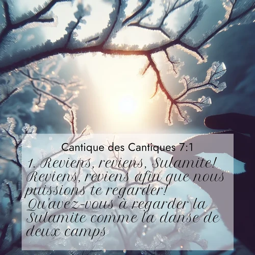 Segond21 Cantique des Cantiques  ; image nature: image avec le verset biblique :Reviens, reviens, Sulamite! Reviens, reviens afin que nous puissions te regarder! Qu&#039;avez-vous à regarder la Sulamite comme la danse de deux camps? ;  ; 7:1