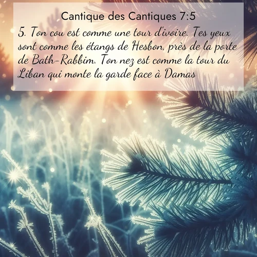 Segond21 Cantique des Cantiques  ; image nature: image avec le verset biblique :Ton cou est comme une tour d&#039;ivoire. Tes yeux sont comme les étangs de Hesbon, près de la porte de Bath-Rabbim. Ton nez est comme la tour du Liban qui monte la garde face à Damas. ;  ; 7:5