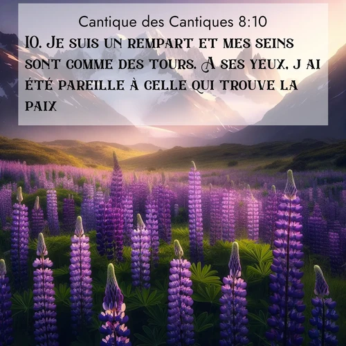 Segond21 Cantique des Cantiques  ; image nature: image avec le verset biblique :Je suis un rempart et mes seins sont comme des tours. A ses yeux, j&#039;ai été pareille à celle qui trouve la paix. ;  ; 8:10