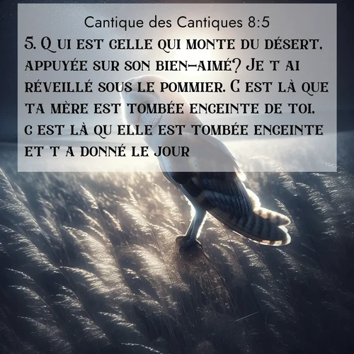 Segond21 Cantique des Cantiques  ; image nature: image avec le verset biblique :Qui est celle qui monte du désert, appuyée sur son bien-aimé? Je t&#039;ai réveillé sous le pommier. C&#039;est là que ta mère est tombée enceinte de toi, c&#039;est là qu&#039;elle est tombée enceinte et t&#039;a donné le jour. ;  ; 8:5