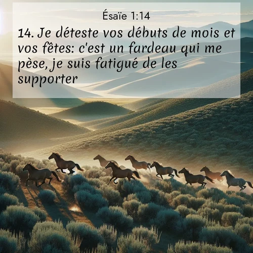 citation biblique : 14. Je déteste vos débuts de mois et vos fêtes: c&#039;est un fardeau qui me pèse, je suis fatigué de les supporter.
 sur fond image nature