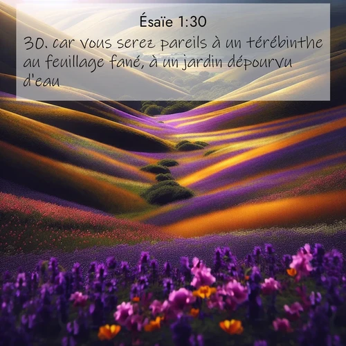 citation biblique : 30. car vous serez pareils à un térébinthe au feuillage fané, à un jardin dépourvu d&#039;eau.
 sur fond image nature