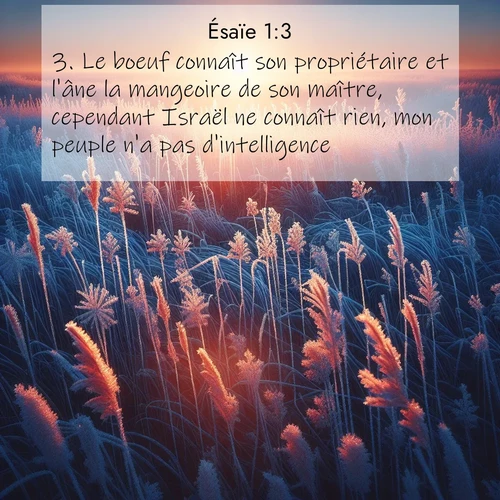 citation biblique : 3. Le boeuf connaît son propriétaire et l&#039;âne la mangeoire de son maître, cependant Israël ne connaît rien, mon peuple n&#039;a pas d&#039;intelligence.»
 sur fond image nature