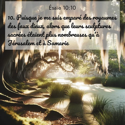 Segond21 Ésaïe  ; image nature: image avec le verset biblique :Puisque je me suis emparé des royaumes des faux dieux, alors que leurs sculptures sacrées étaient plus nombreuses qu&#039;à Jérusalem et à Samarie, ;  ; 10:10