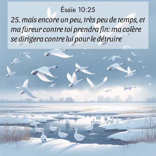 Segond21 Ésaïe  ; image nature: image avec le verset biblique :mais encore un peu, très peu de temps, et ma fureur contre toi prendra fin: ma colère se dirigera contre lui pour le détruire.» ;  ; 10:25