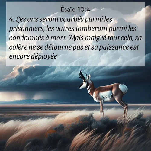 Segond21 Ésaïe  ; image nature: image avec le verset biblique :Les uns seront courbés parmi les prisonniers, les autres tomberont parmi les condamnés à mort. Mais malgré tout cela, sa colère ne se détourne pas et sa puissance est encore déployée. ;  ; 10:4